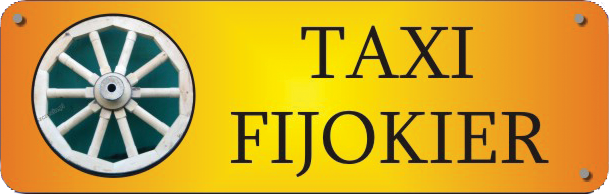 Logo Taxi Bukowina